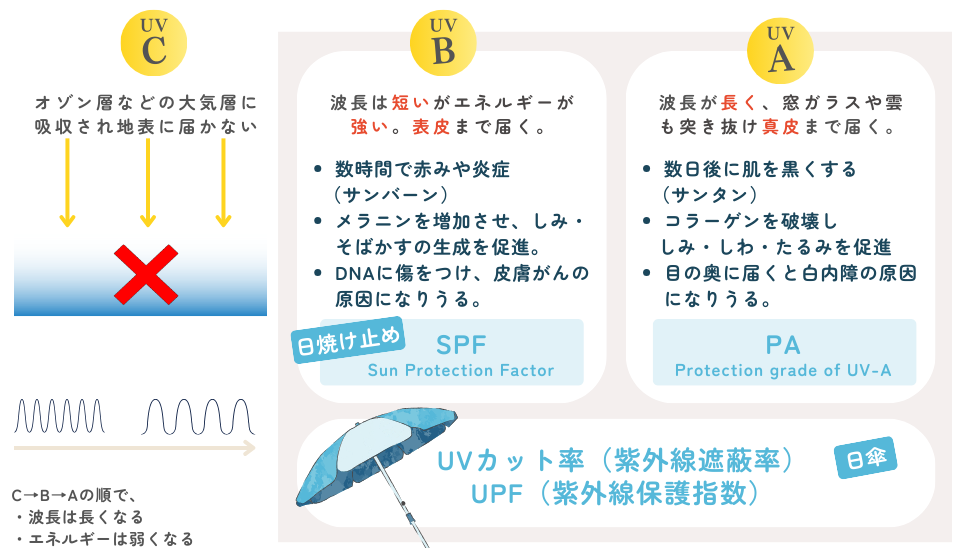 紫外線の人体への影響と防ぐための指標