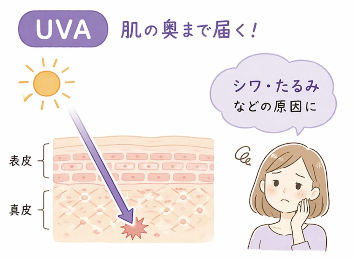 UVA(紫外線A波)が肌の奥(真皮)まで届き、シワやたるみなどの光老化を引き起こすイラスト
