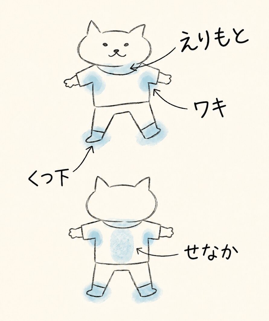 猫のキャラクターがTシャツとズボンを着て立っている。Tシャツの襟元、両脇の下、ズボンの裾（靴下の部分）に、マーク。衣類のシャツシャワーをあてるスポットを示しています。