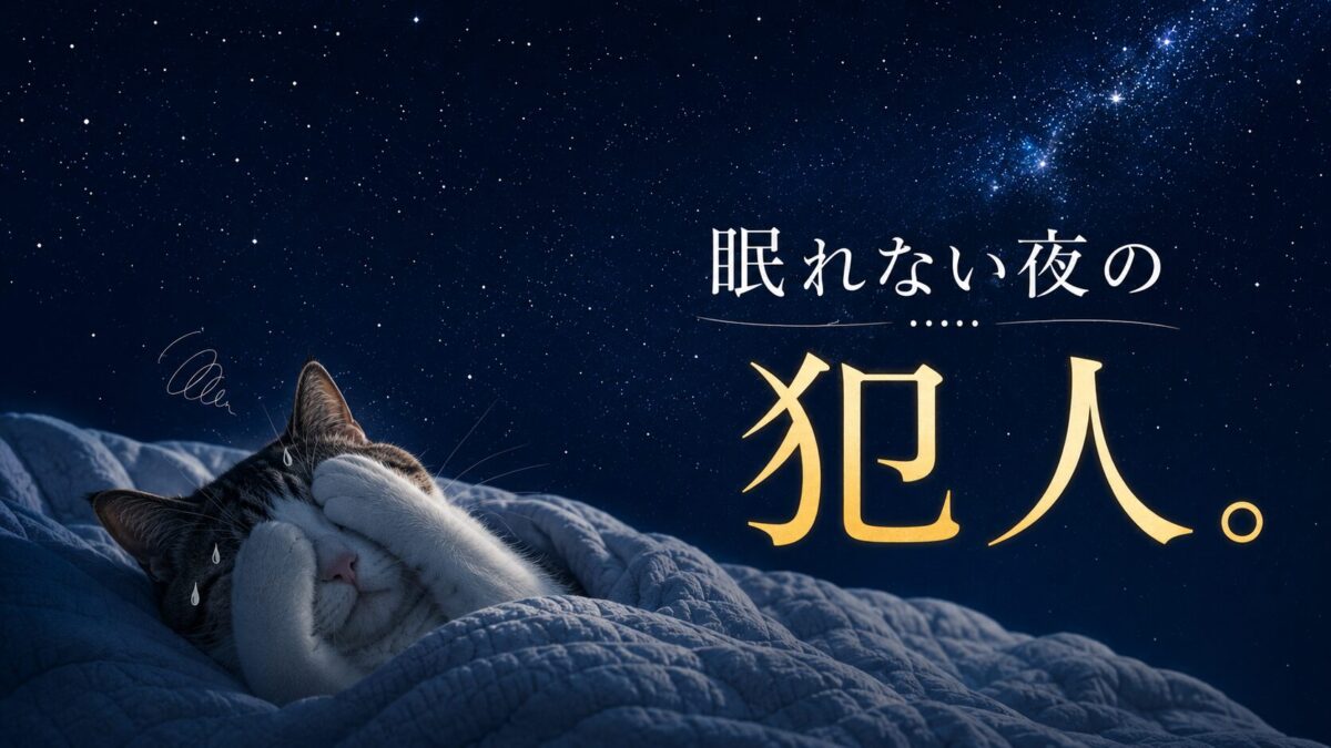快眠タイムズ敷きパッドのアイキャッチ
